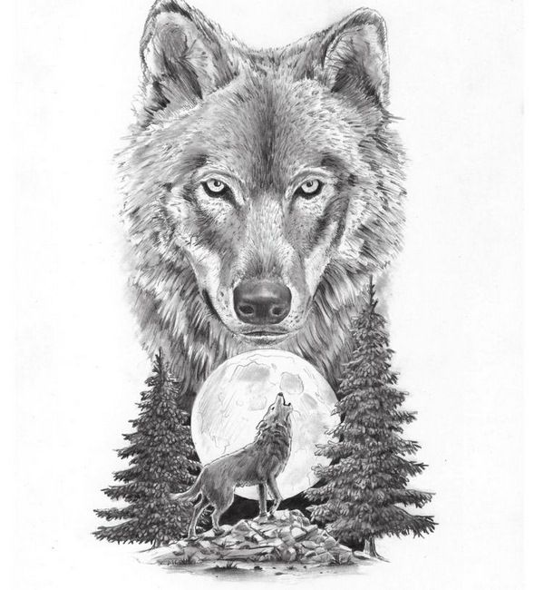 600x650 Latest Wolf Tattoos Designs - Wolf Tattoo Drawing
