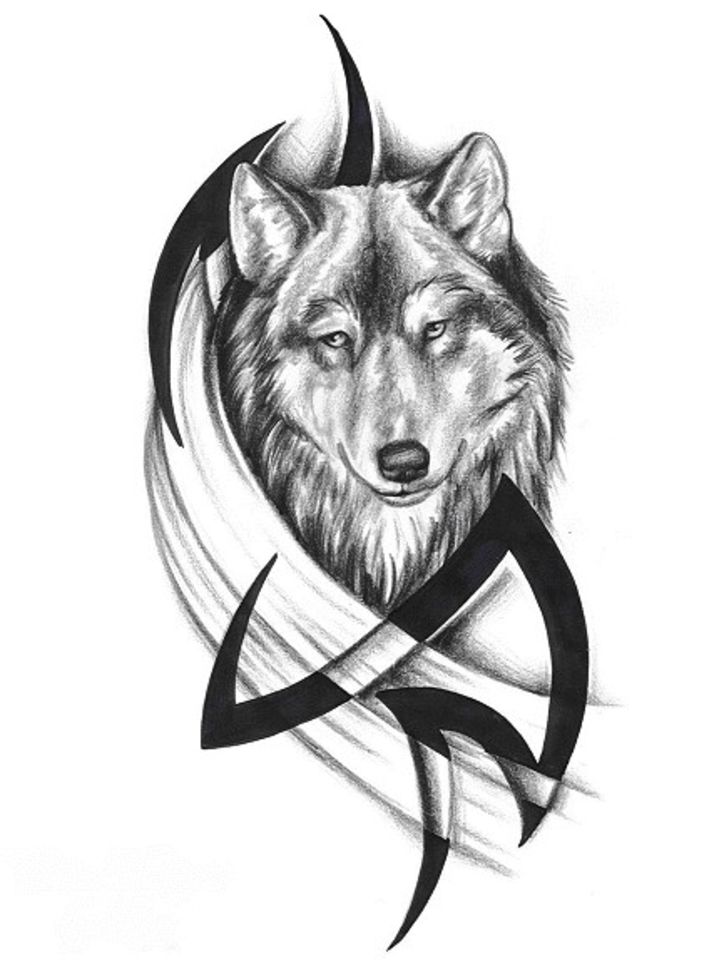 719x960 Latest Wolf Tattoo Designs And Ideas - Wolf Tattoo Drawing