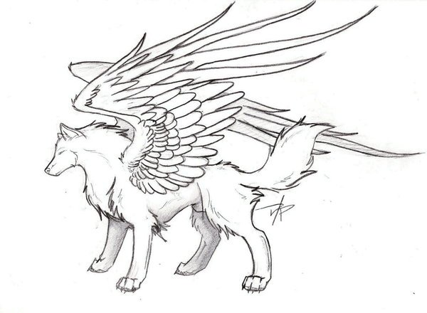 600x440 Easy Wolf Drawings Wings - Wolf With Wings Drawing