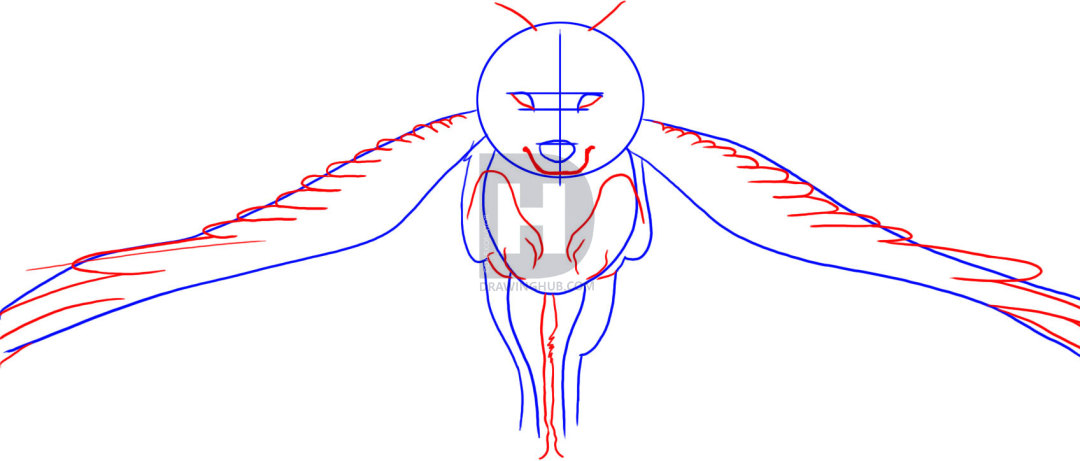 1080x461 How To Draw A Winged Wolf, Step - Wolf With Wings Drawing