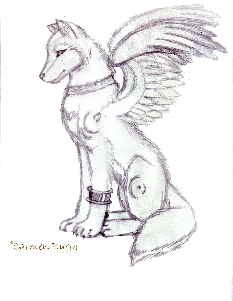 800x1035 Wolf Coloring Pages Drawing And Art Free Anime - Wolf With Wings Drawing