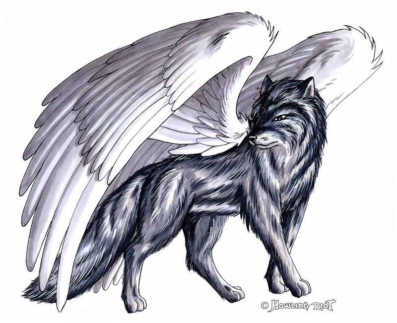 Wolf With Wings Draw. 