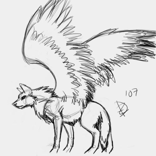 500x500 How To Draw Wolves With Wings - Wolf With Wings Drawing