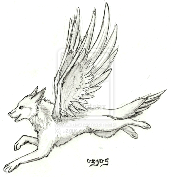 Wolf With Wings Drawing At Paintingvalley Com Explore Collection