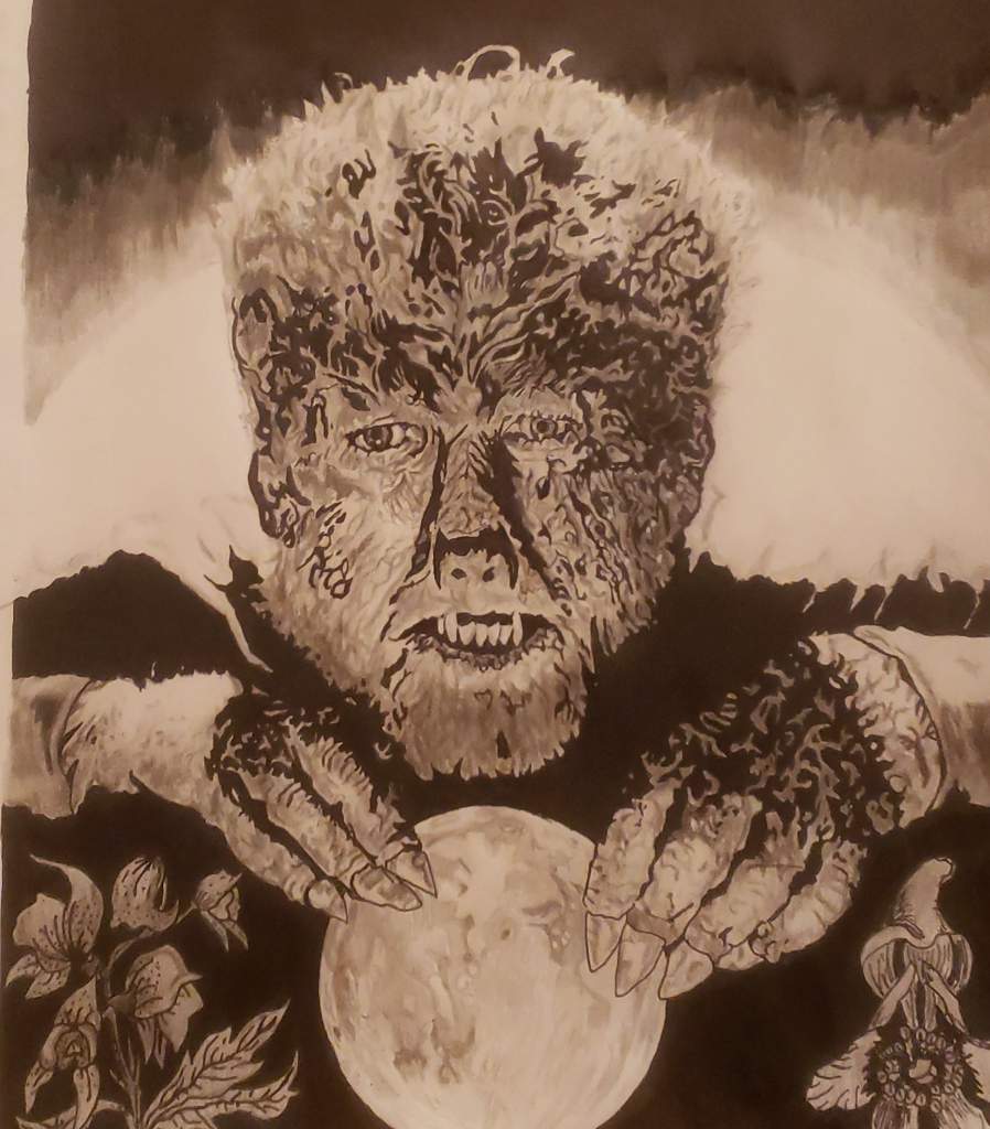 898x1024 The Wolfman Drawing Horror Amino - Wolfman Drawing