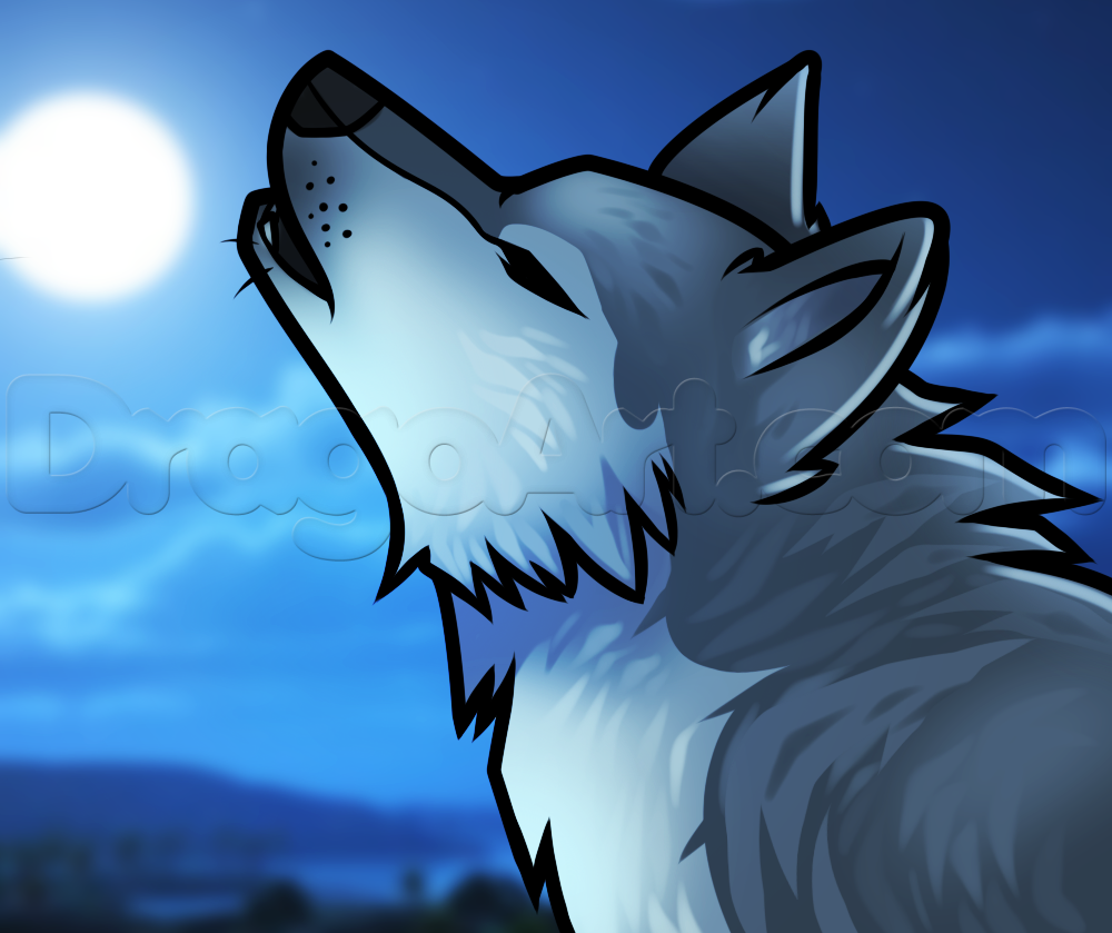 1000x839 How To Draw A Howling Wolf Easy, Step - Wolfs Drawings