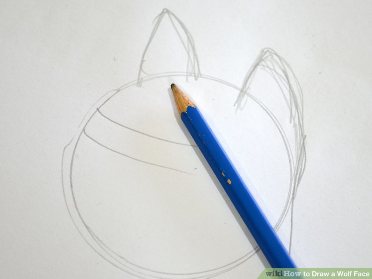 728x546 How To Draw A Wolf Face Steps - Wolfs Drawings