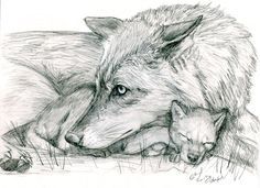236x171 Best Wolf Drawings Images Drawing Techniques, Drawing - Wolfs Drawings
