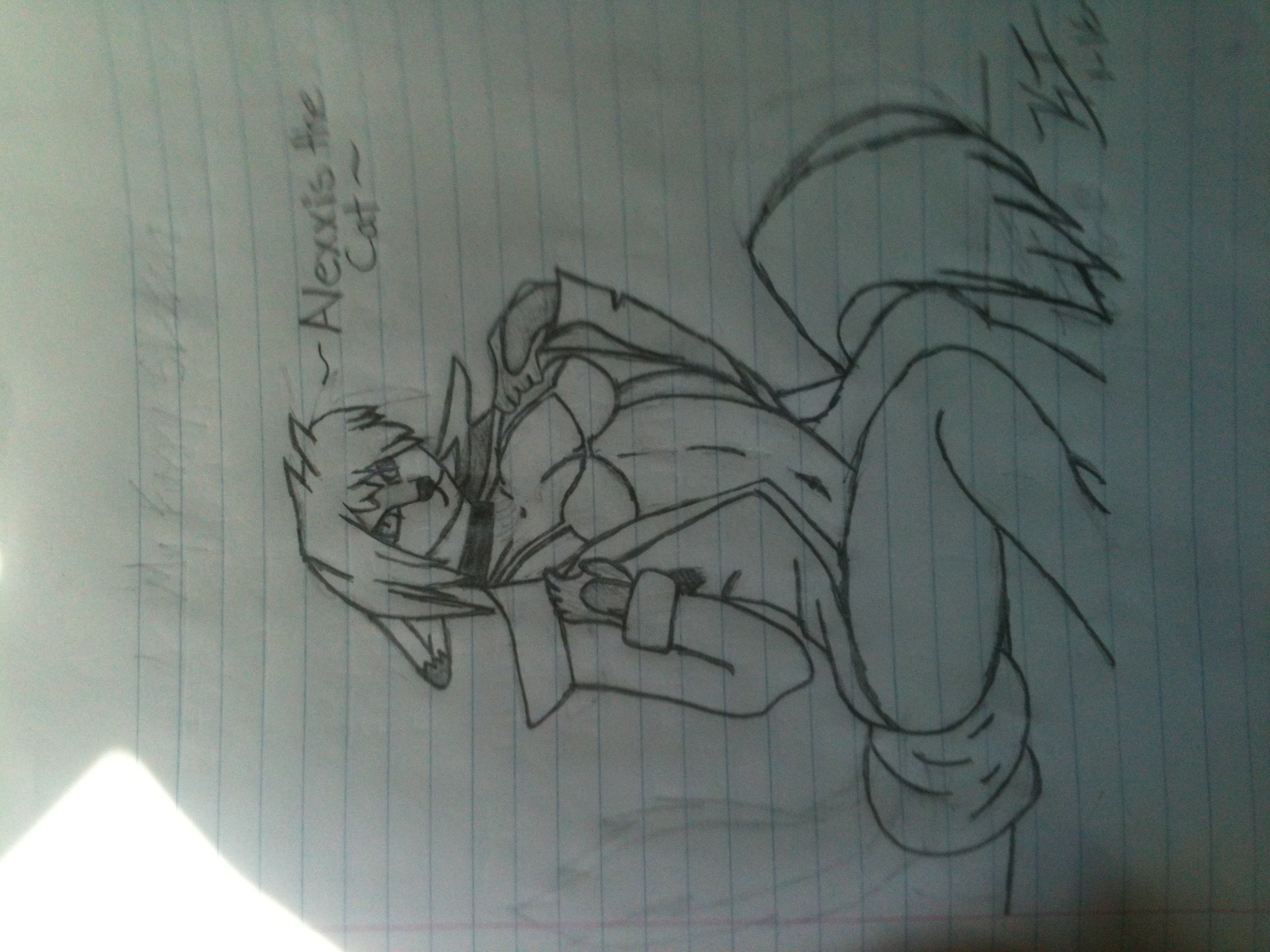 2048x1536 alpha y omega wolfs pics and one of my furry drawings hd - Wolfs Drawings