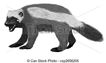 450x271 wolverine gulo gulo pencil and computer drawing - Wolverine Animal Drawing