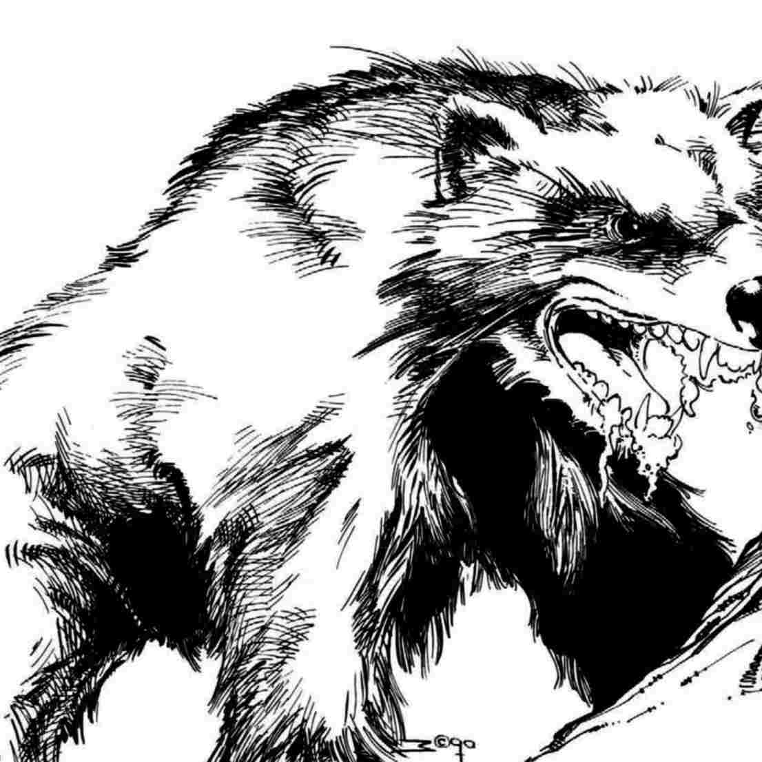 Wolverine Animal Drawing at PaintingValley.com | Explore collection of