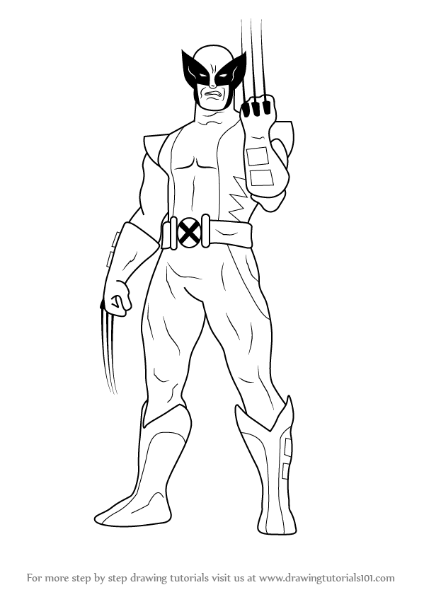 599x844 learn how to draw wolverine - Wolverine Cartoon Drawing