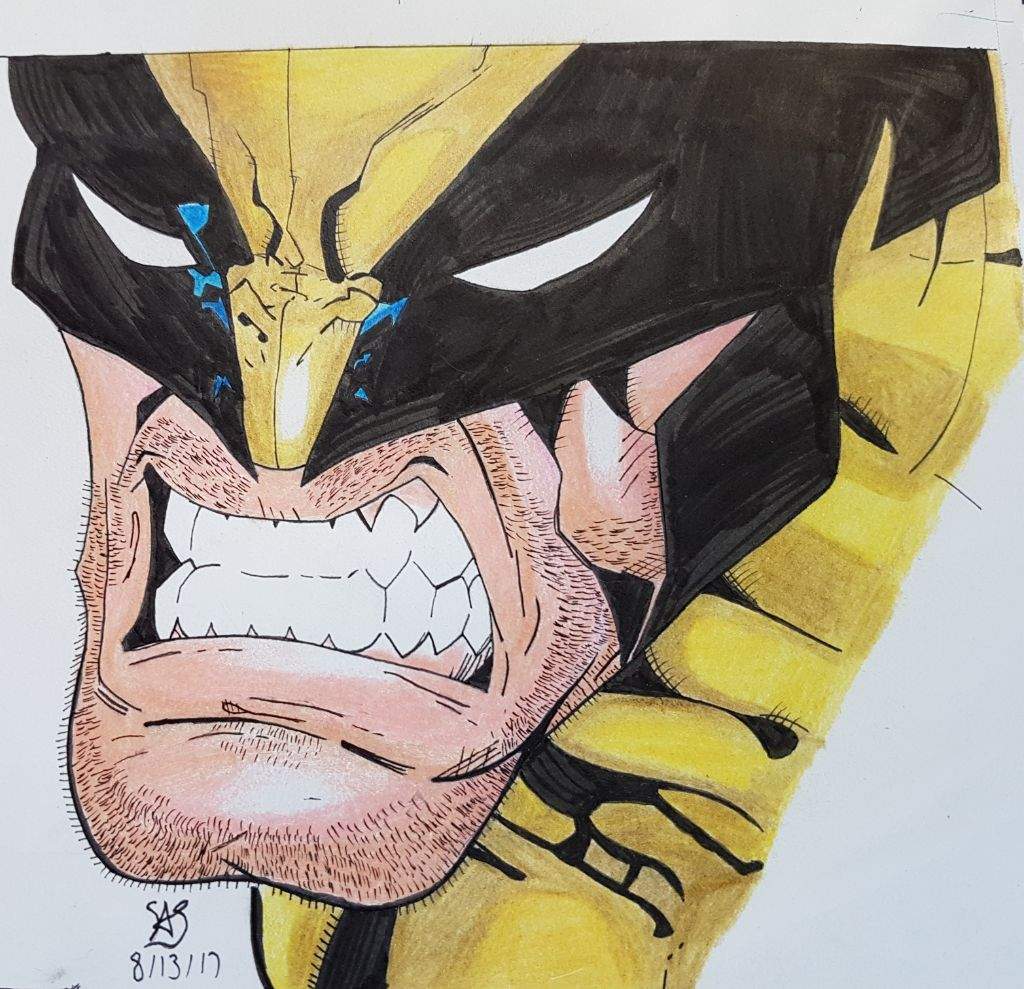 1024x989 wolverine drawing cartoon amino - Wolverine Cartoon Drawing