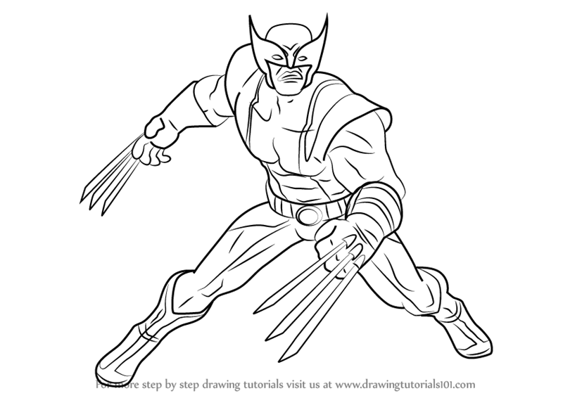 800x566 Learn How To Draw Wolverine From Marvel Contest Of Champions - Wolverine Drawing