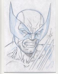 234x300 Wolverine Original Art Sketch Drawing - Wolverine Drawing
