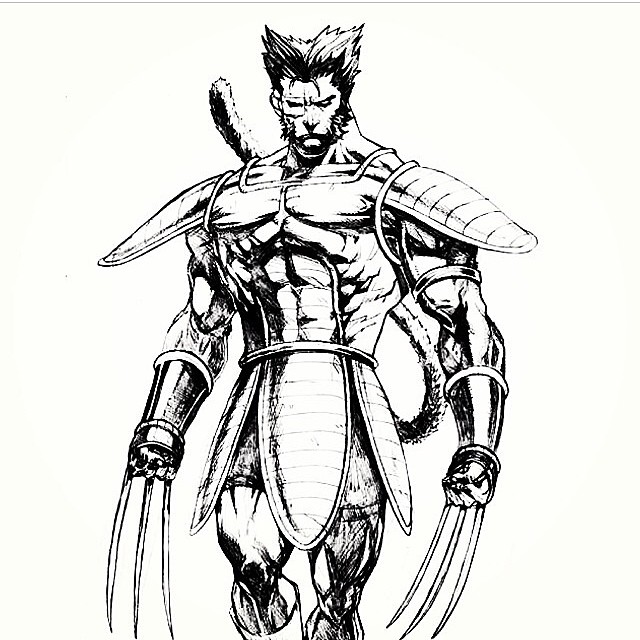 640x640 wolverine drawing for free download - Wolverine Drawing