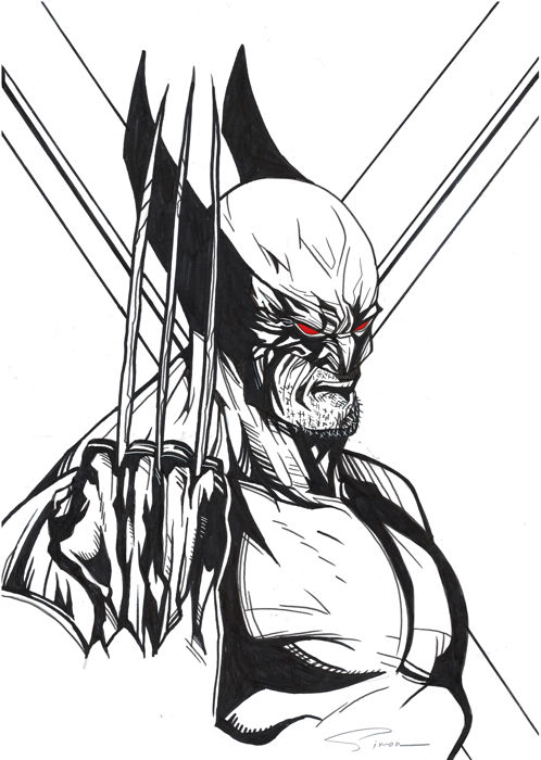 498x700 Wolverine - Wolverine Drawing