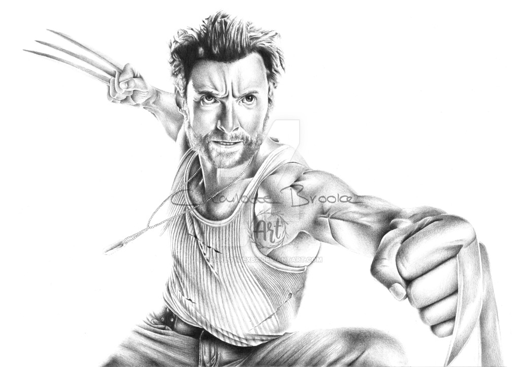 1024x723 Wolverine Drawing - Wolverine Drawing