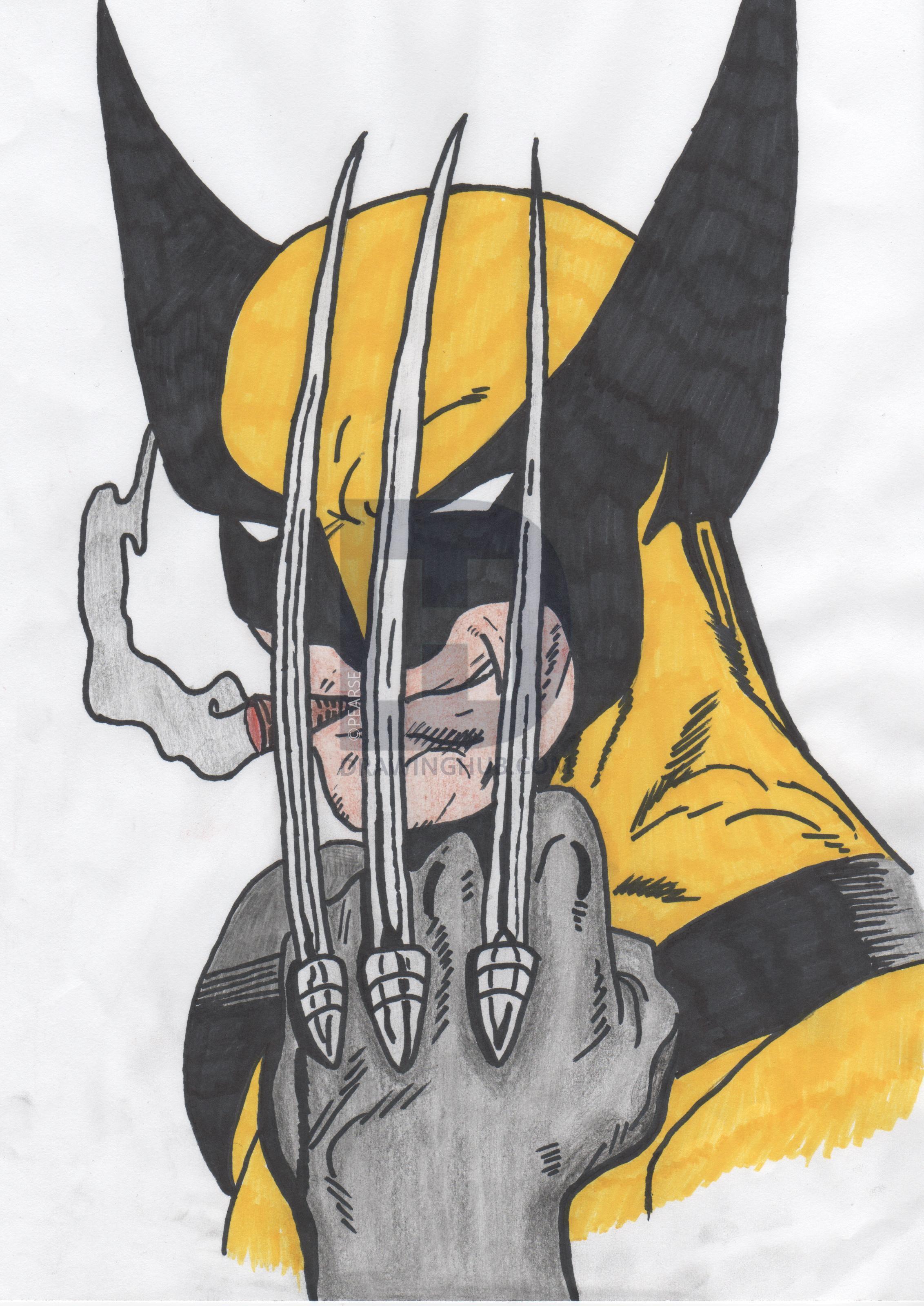 How To Draw Wolverine Easy Drawing Tutorial For Kids vrogue.co