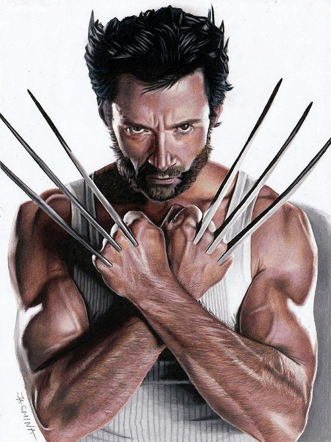 674x900 Wolverine Fanart Drawing - Wolverine Drawing
