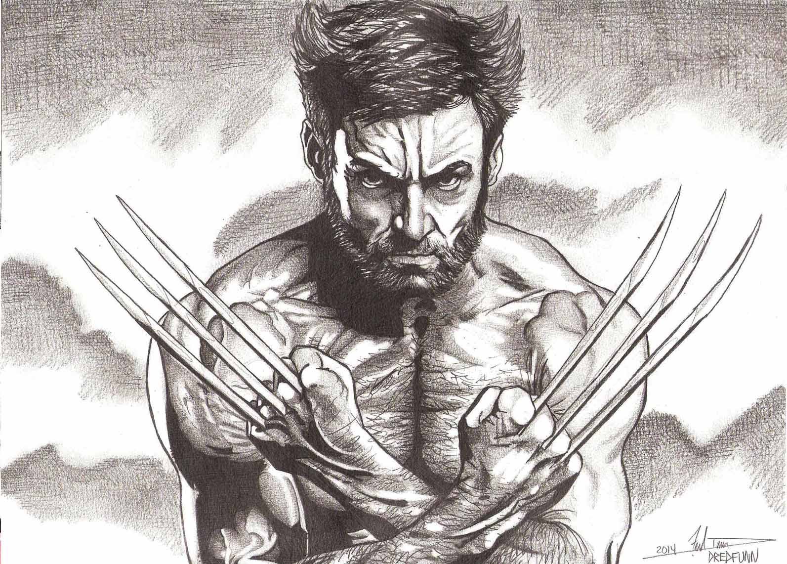 1593x1141 Wolverine High Quality Drawing Drawing Skill - Wolverine Drawing