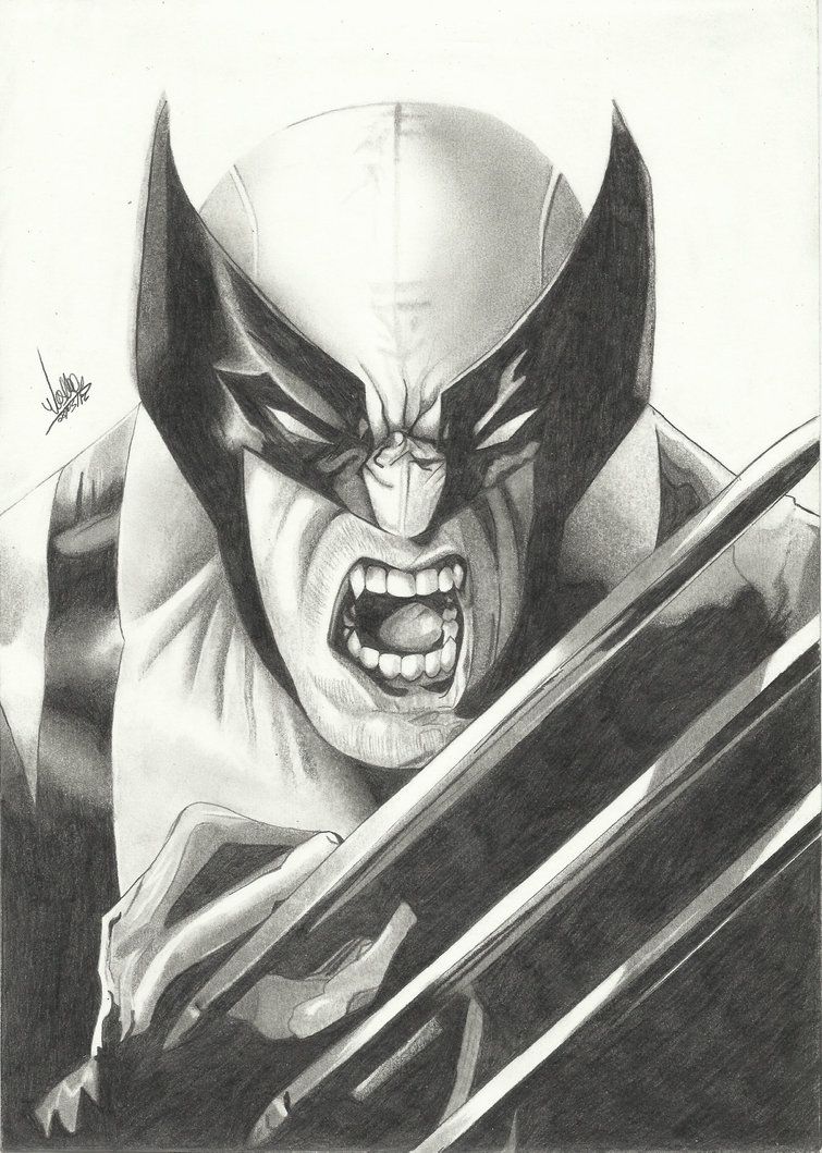 755x1059 wolverine comic drawings wolverine - Wolverine Drawing