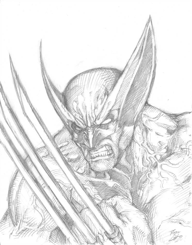 792x1009 bcc wolverine drawing - Wolverine Drawing