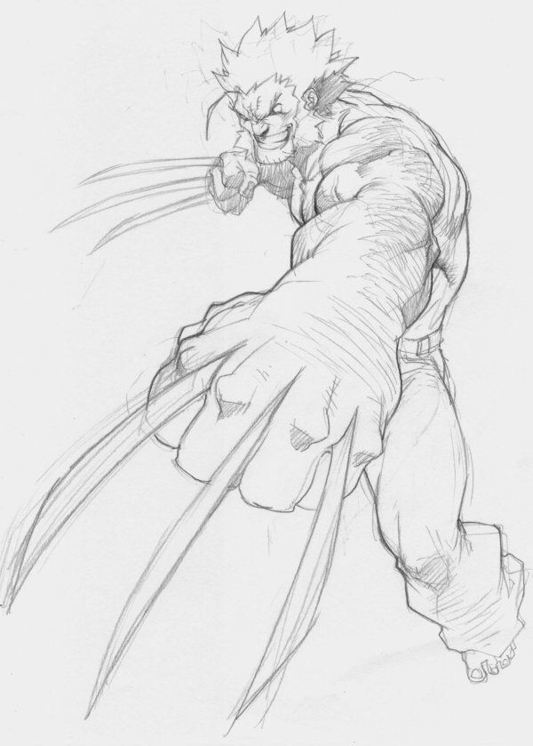 600x839 cute wolverine draw heroes zeichnungen, zeichnen, perspektive - Wolverine Drawing