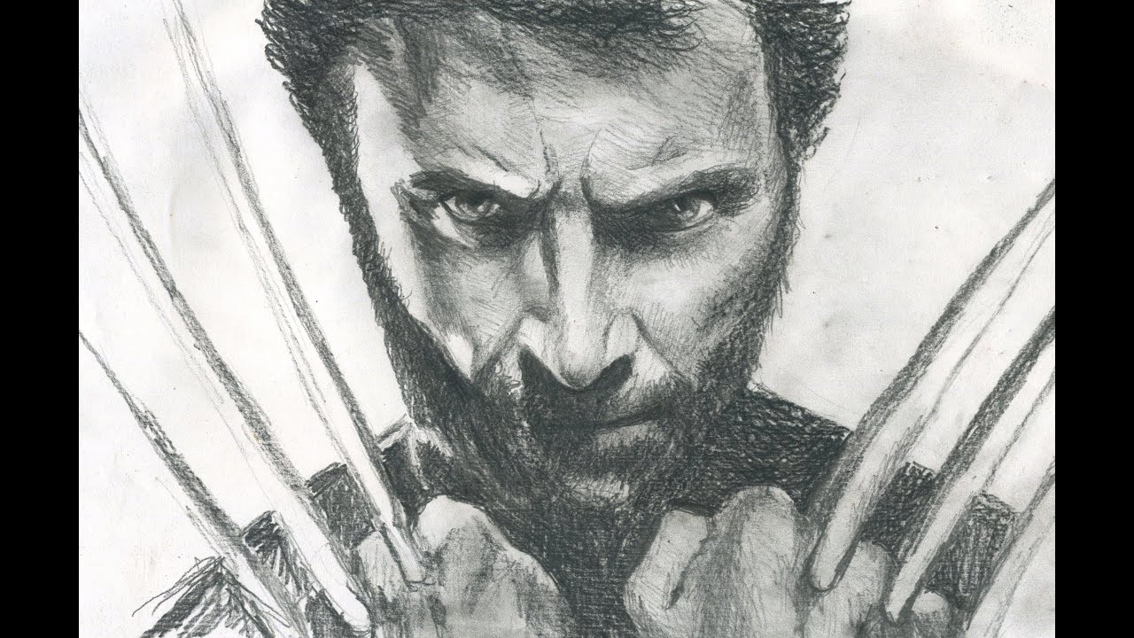 Wolverine Animal Drawing at PaintingValley.com | Explore collection of ...