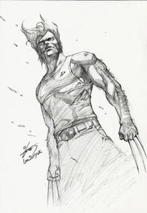 206x299 Inhyuk Lee Wolverine Pencil Sketch Scott's Collectables - Wolverine Pencil Drawing
