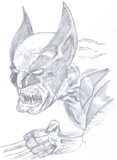 410x560 wolverine sketches iain kelly - Wolverine Pencil Drawing