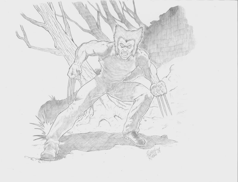 800x612 Wolverine Pencil Drawing - Wolverine Pencil Drawing