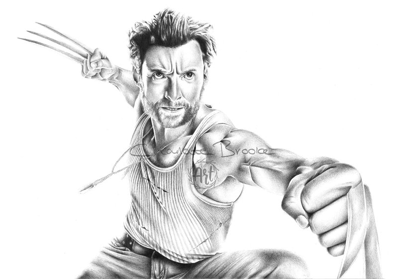 794x560 Wolverine Pencil Portrait Drawing Print Etsy - Wolverine Pencil Drawing
