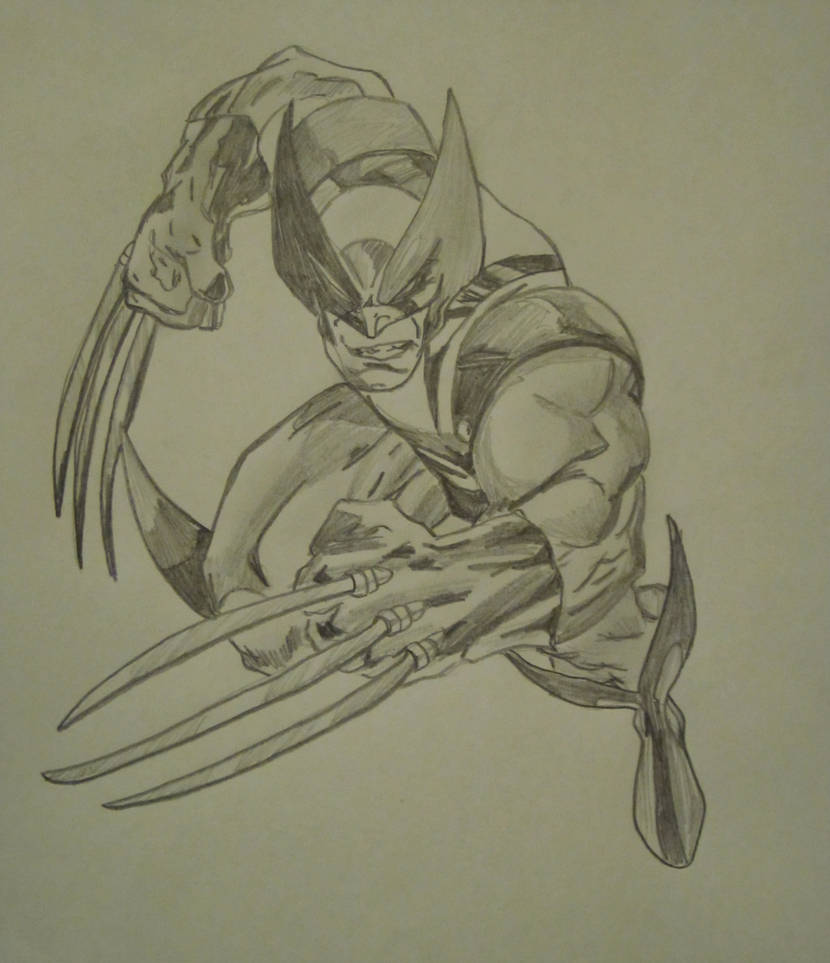 830x963 Wolverine Pencil Sketch - Wolverine Pencil Drawing