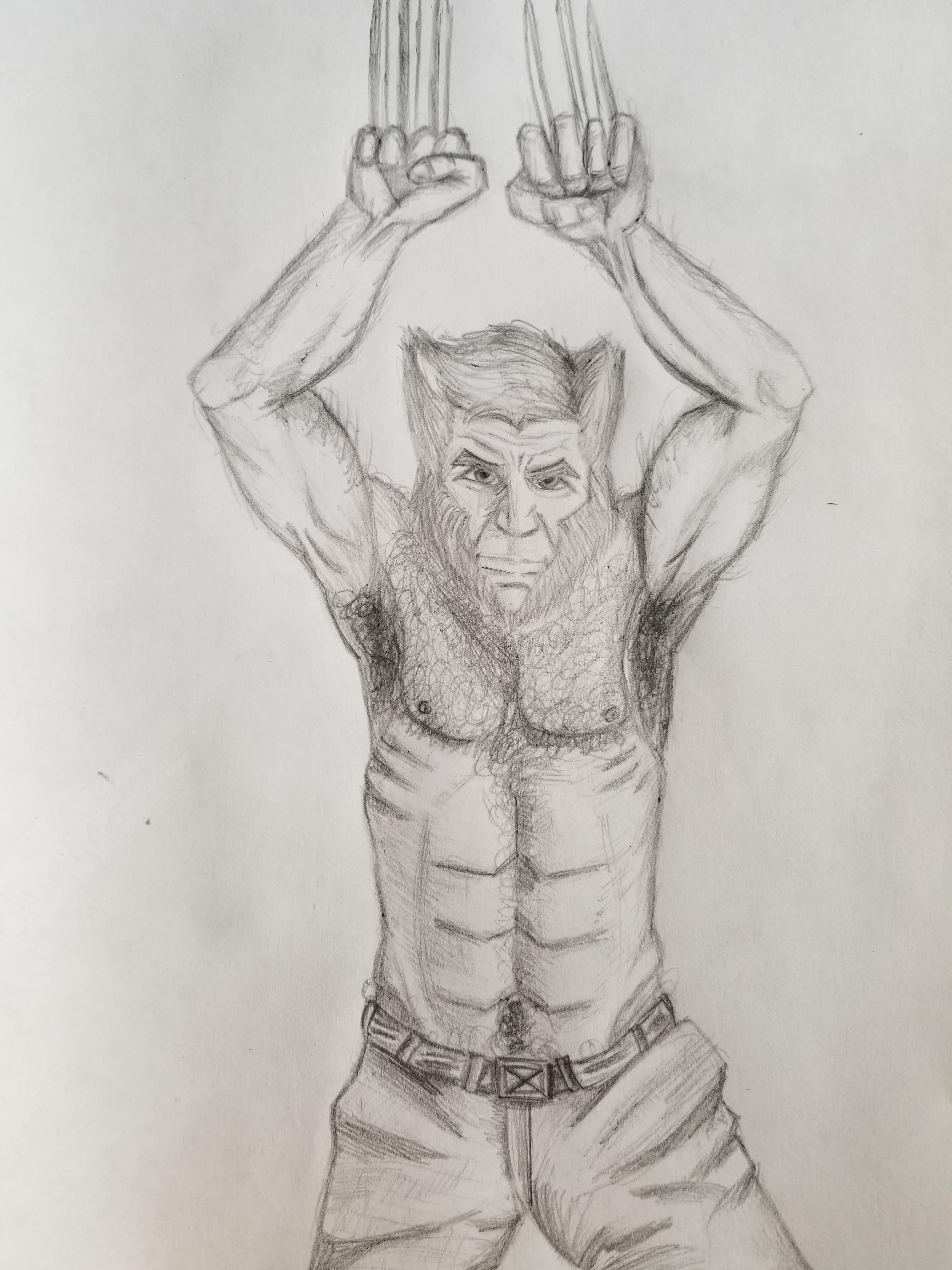3024x4032 Wolverine Pencil Drawing - Wolverine Pencil Drawing