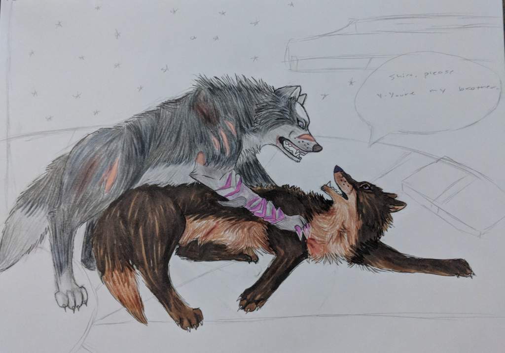 1024x716 wip shiro keith's fight - Wolves Fighting Drawing