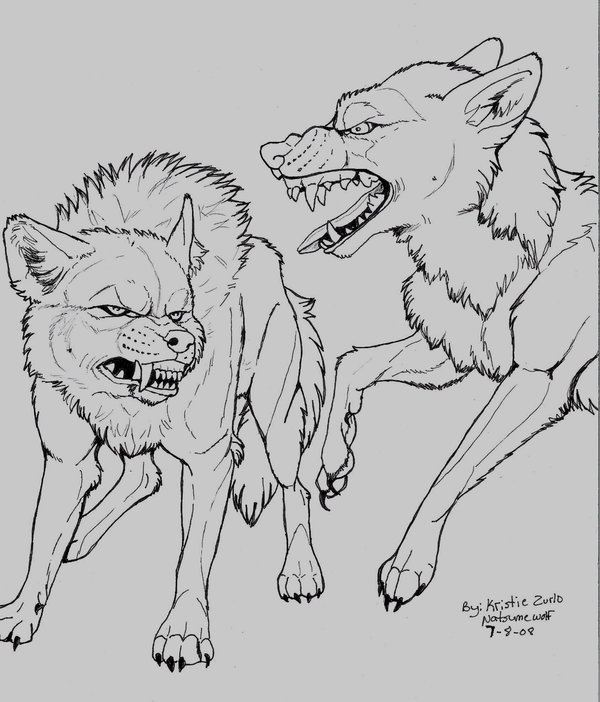 600x702 wolf fighting coloring pages - Wolves Fighting Drawing