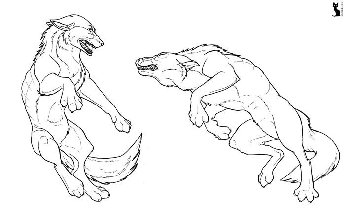 700x426 wolf fight snowraven werewolf art, werewolf, wolves fighting - Wolves Fighting Drawing
