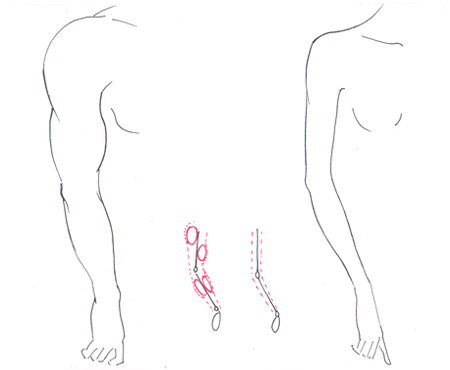 450x370 differences male female i draw fashion - Woman And Man Drawing