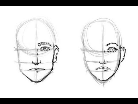480x360 Drawing The Difference Men's And Woman's Faces - Woman And Man Drawing