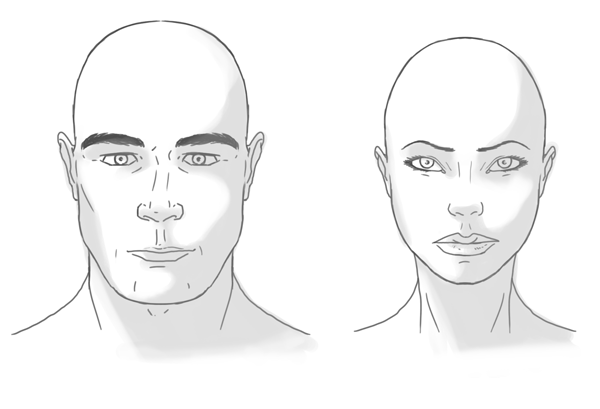 600x409 the differences between male and female portraits - Woman And Man Drawing