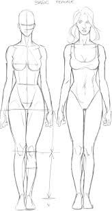 164x308 Image Result For Female Body Drawing Reference Z - Woman Body Drawing