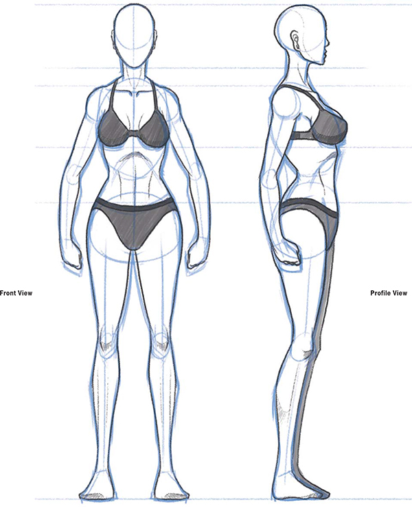 Woman Body Line Drawing Female. Anatomy. Swimsuit. Clothes. Drawing