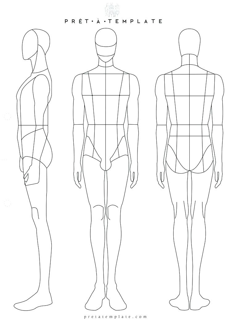 736x1041 Draw Female Body Human Drawing Template How To Torso - Woman Body Drawing Template