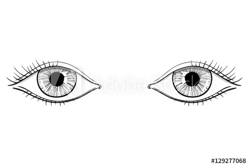 500x334 Human Woman's Eyes Hand Drawn Sketch - Woman Eyes Drawing