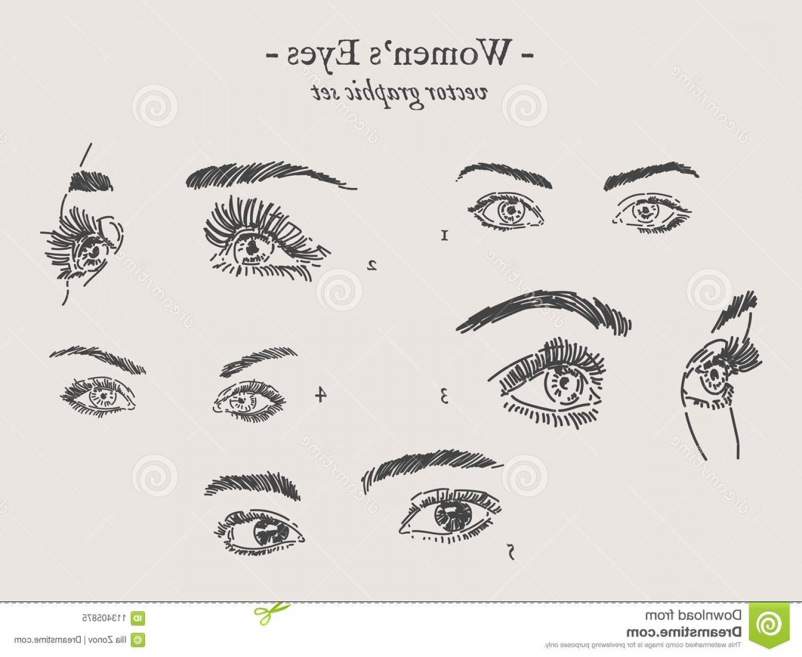 1560x1278 Vector Eyes Drawings Set Graphic Womens Hand Drawn Image Soidergi - Woman Eyes Drawing