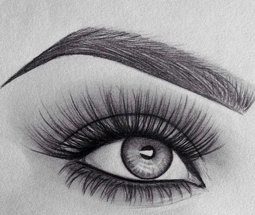499x420 art, beauty, black and white, classy, drawing, eye, eyebrow, eyes - Woman Eyes Drawing