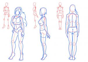 302x214 draw female figures, female figures, step - Woman Figure Drawing