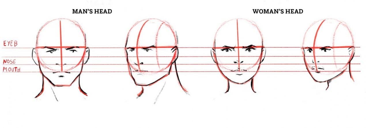 1270x444 How To Draw A Face Drawing The Male And Female Head Front - Woman Head Drawing