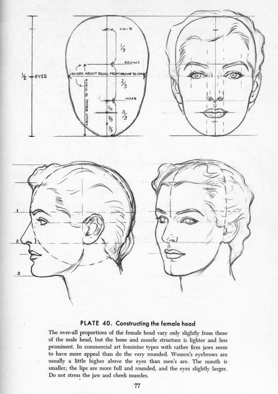 541x768 proportion guide for how to draw the female head from the book - Woman Head Drawing